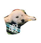 毎日おにゃ子 2（個別スタンプ：19）