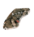 毎日おにゃ子 2（個別スタンプ：20）
