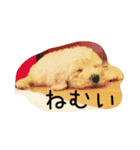 毎日おにゃ子 2（個別スタンプ：24）