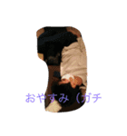 きむ（日常）（個別スタンプ：4）