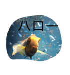 きむ（日常）（個別スタンプ：8）