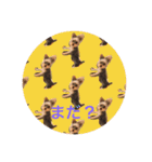 しんこたゆず（個別スタンプ：6）