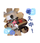 プリンセスサロンblossom（個別スタンプ：12）
