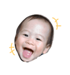 2017version（個別スタンプ：1）