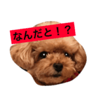 ねむスタンプ 1（個別スタンプ：1）