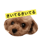 ねむスタンプ 1（個別スタンプ：4）