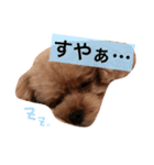 ねむスタンプ 1（個別スタンプ：6）