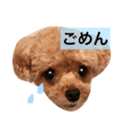 ねむスタンプ 1（個別スタンプ：11）