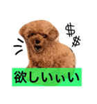 ねむスタンプ 1（個別スタンプ：13）