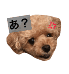 ねむスタンプ 1（個別スタンプ：14）