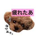 ねむスタンプ 1（個別スタンプ：16）