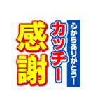 カッチーのスポーツ新聞（個別スタンプ：23）