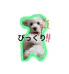 幸せ杏ちゃん（個別スタンプ：1）