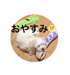 幸せ杏ちゃん（個別スタンプ：3）