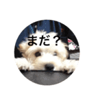 幸せ杏ちゃん（個別スタンプ：4）