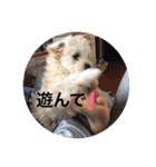 幸せ杏ちゃん（個別スタンプ：5）