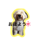 幸せ杏ちゃん（個別スタンプ：7）