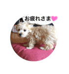 幸せ杏ちゃん（個別スタンプ：11）