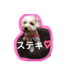 幸せ杏ちゃん（個別スタンプ：12）