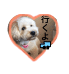 幸せ杏ちゃん（個別スタンプ：14）