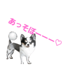 可愛いココちゃん（個別スタンプ：8）