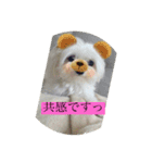 blan（個別スタンプ：10）