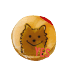 忠犬みらん（個別スタンプ：5）