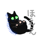 Black cat, edgar（個別スタンプ：19）