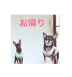 daily life Stickers Japanese（個別スタンプ：11）