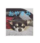 daily life Stickers Japanese（個別スタンプ：15）