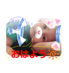 Baby Stamp.K（個別スタンプ：5）