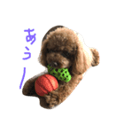 トイプのレン君（個別スタンプ：2）