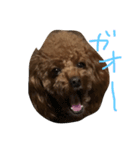 トイプのレン君（個別スタンプ：3）