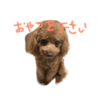 トイプのレン君（個別スタンプ：5）