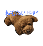 トイプのレン君（個別スタンプ：6）