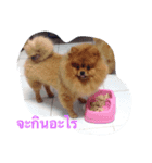 love pom pom（個別スタンプ：5）