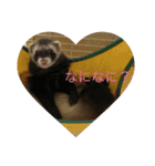フェレットuxu（個別スタンプ：3）