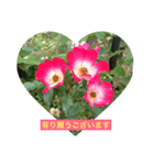 Staying 1 stamp（個別スタンプ：5）