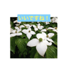 Staying 1 stamp（個別スタンプ：6）