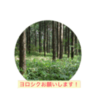 Staying 1 stamp（個別スタンプ：7）