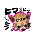 くるるスタンプ（個別スタンプ：6）