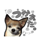 くるるスタンプ（個別スタンプ：8）
