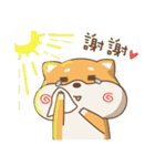 spoiled shiba（個別スタンプ：6）