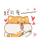 spoiled shiba（個別スタンプ：10）