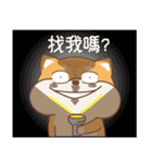 spoiled shiba（個別スタンプ：11）