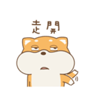 spoiled shiba（個別スタンプ：12）