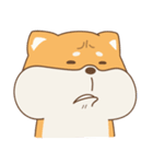 spoiled shiba（個別スタンプ：16）