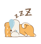 spoiled shiba（個別スタンプ：20）