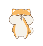 spoiled shiba（個別スタンプ：24）