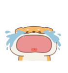 spoiled shiba（個別スタンプ：25）